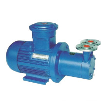 Cwb Magnetic Rotary Water Pump